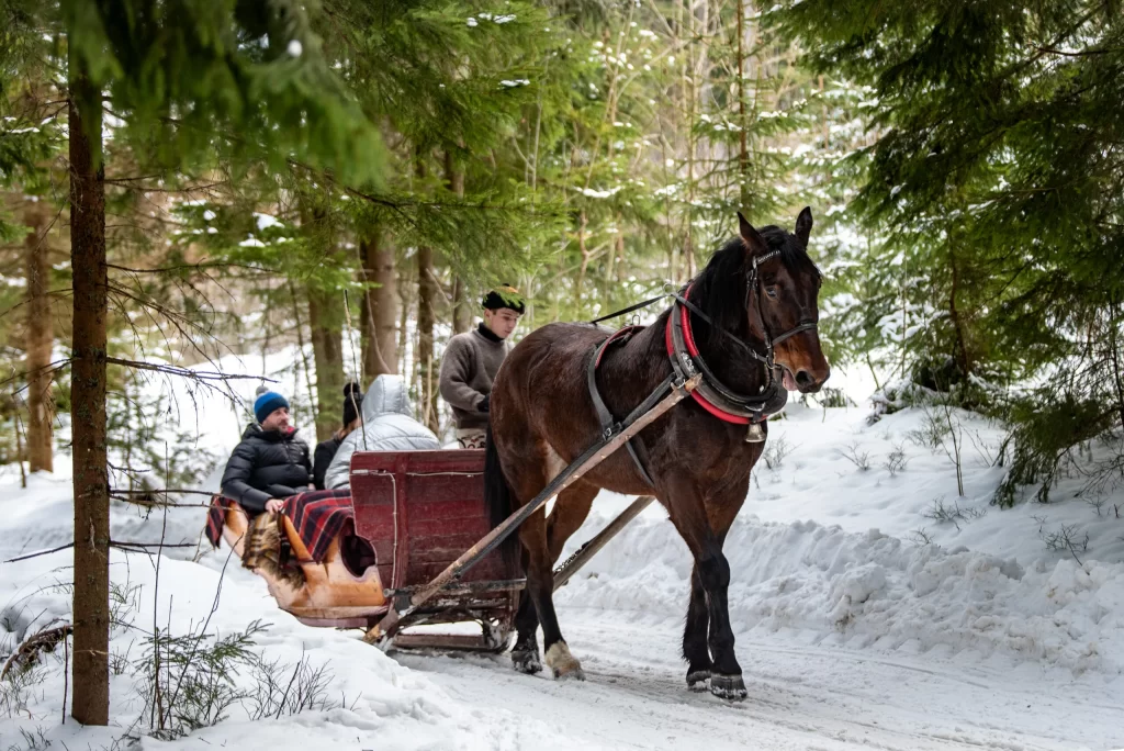 kulig dolina chochołowska - kulig-zakopane.eu