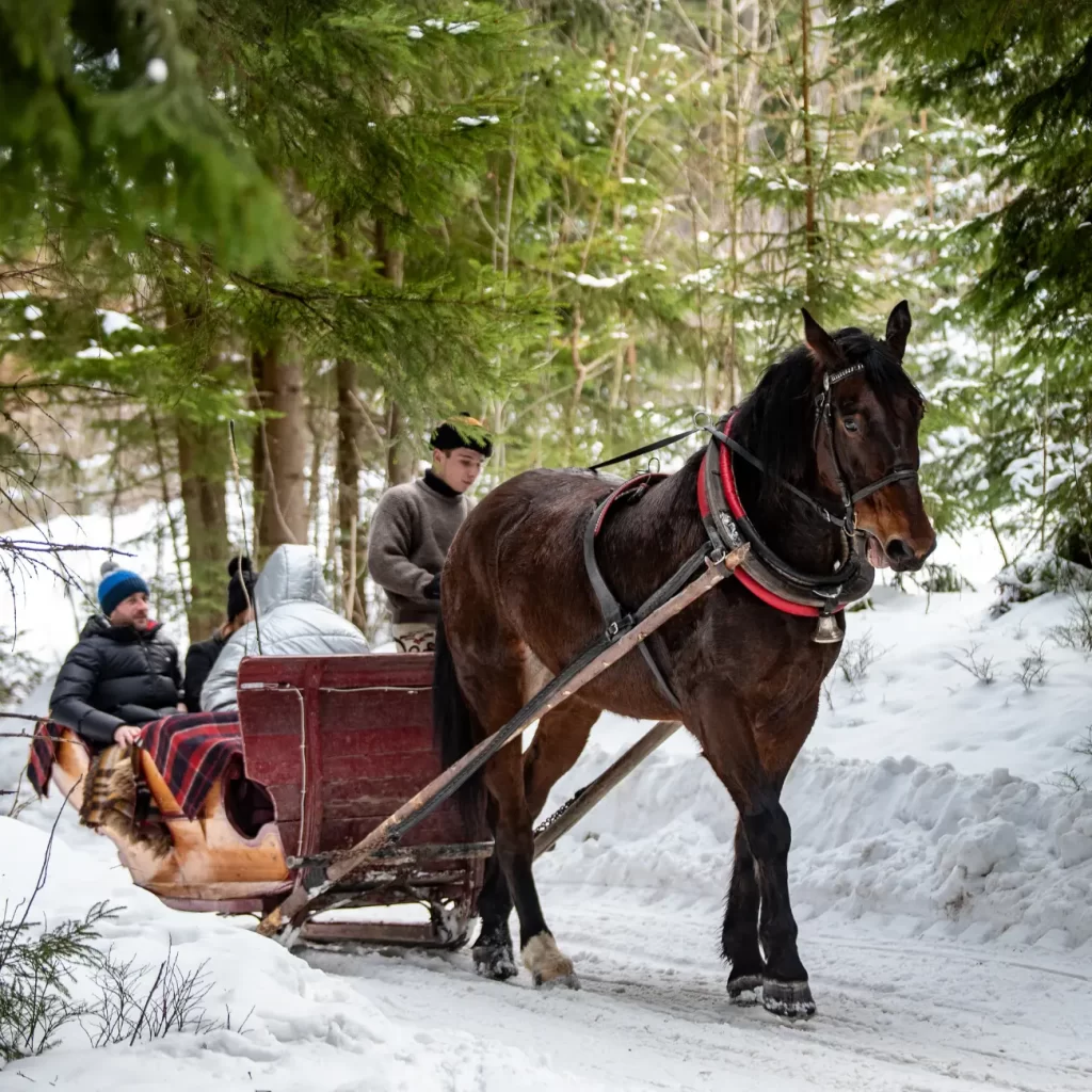 kulig w chochołowskiej - kulig-zakopane.eu