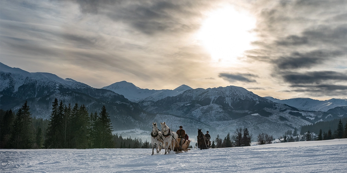 kulig w Dolinie Chochołowskiej - kulig-zakopane.eu