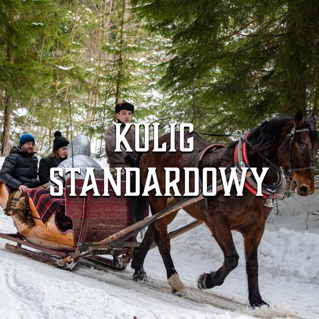 kulig standardowy - kulig-zakopane.eu