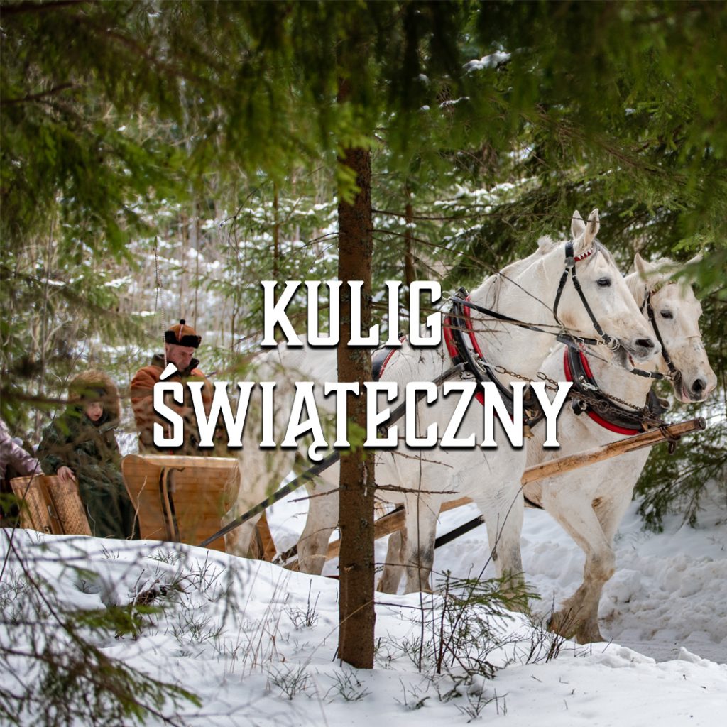 kulig świąteczny - kulig-zakopane.eu