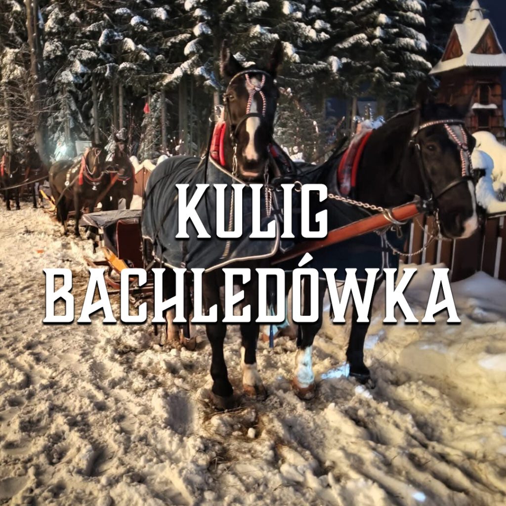 kulig zakopane bachledówka - kulig-zakopane.eu