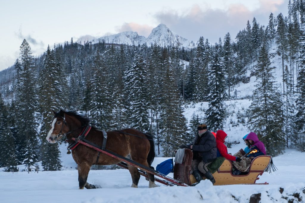 świąteczny kulig dolina chochołowska - kulig-zakopane.eu